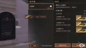 天津女排名将助阵,8000观众到场,排球之城名副其实!