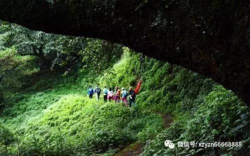痛心！河南这一学校深夜火灾13死，死者都是三年级农村留守儿童，才十岁左右