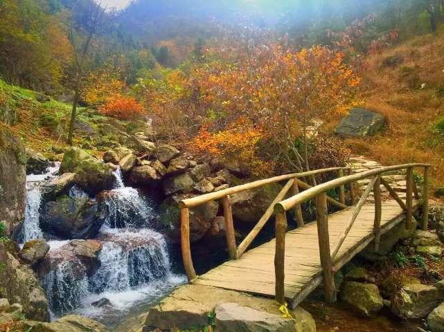 一起来学《防范和处置非法集资条例》~