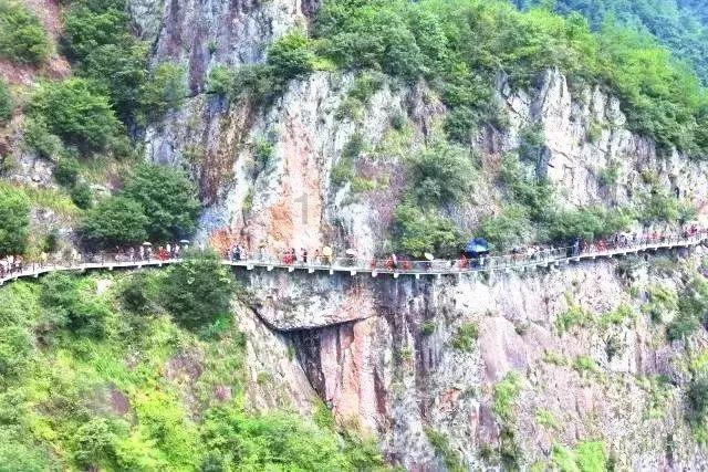 被禁止的道路